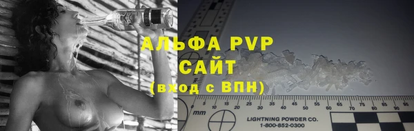 СК Снежногорск